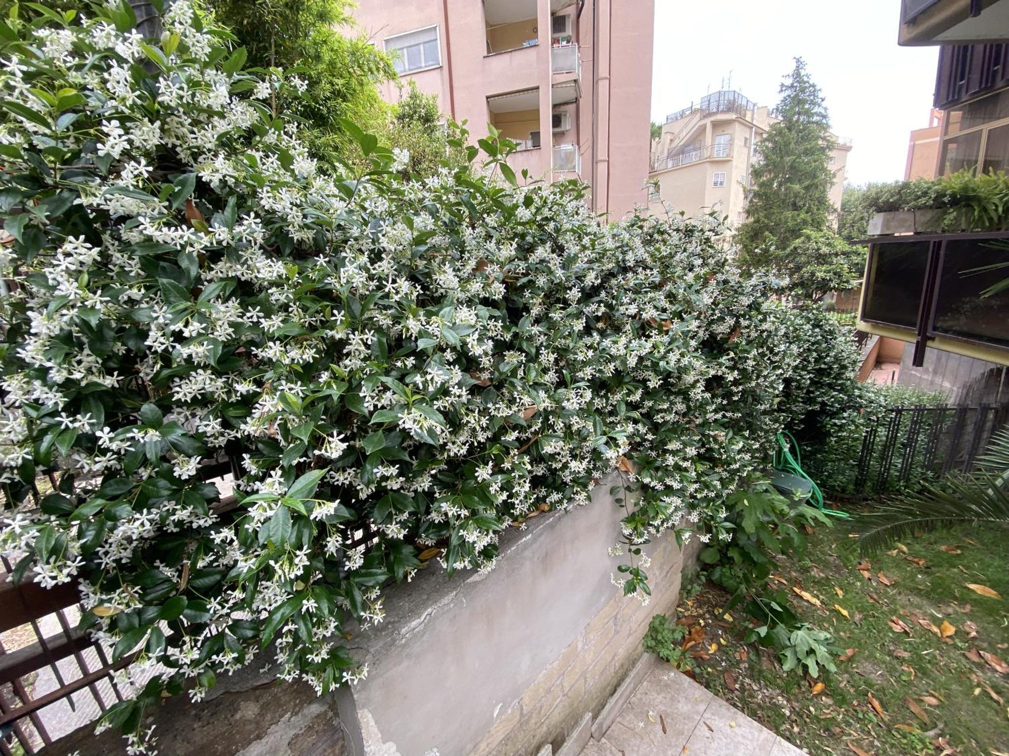 Ferienhaus Garden House - Casa Con Giardino Privato *